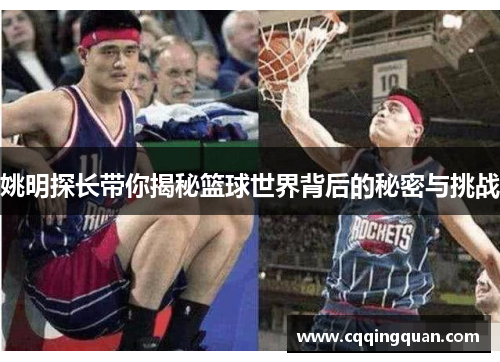 姚明探长带你揭秘篮球世界背后的秘密与挑战
